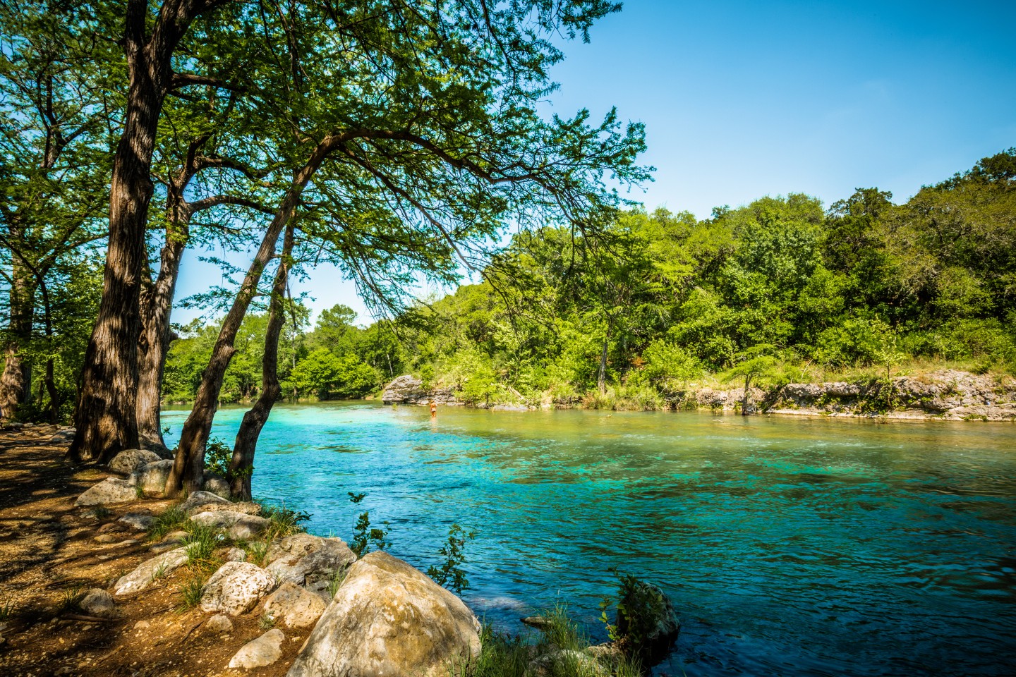Texas Hill Country Consultants LLC